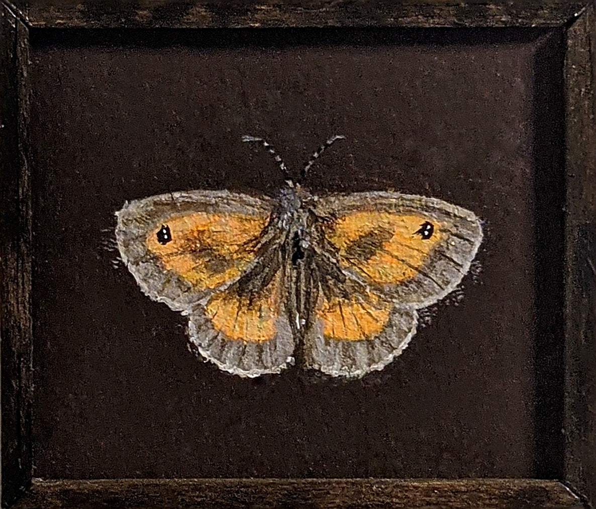 097 Pyronia tithonus
