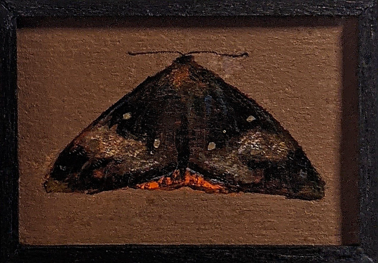 131 Divana diva