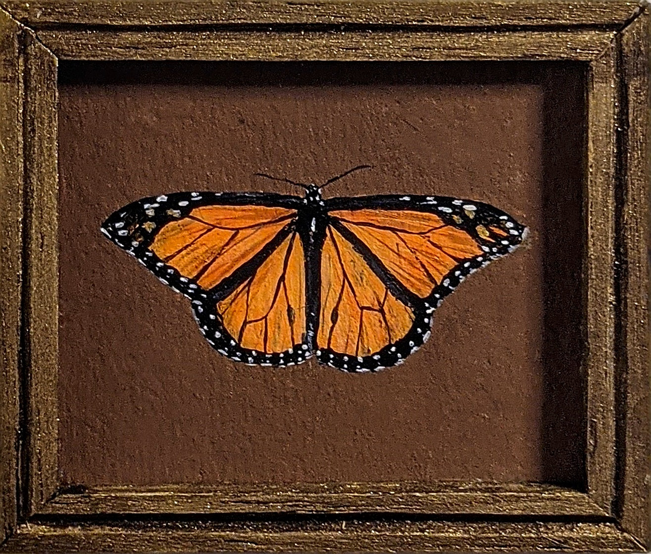 133 Danaus plexippus