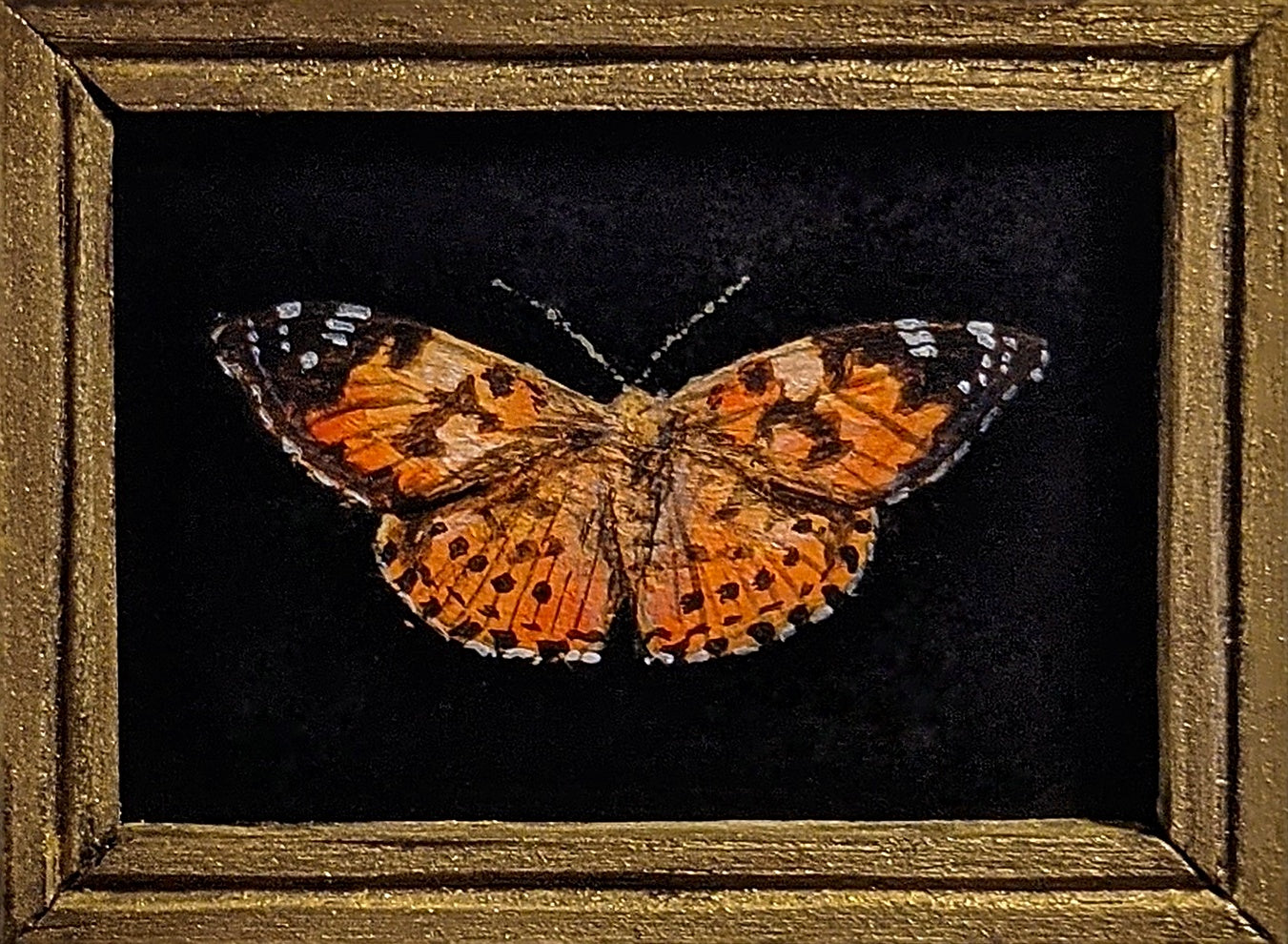 139 Vanessa cardui