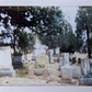 cemetery picture no. 11