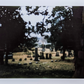 cemetery picture no. 12