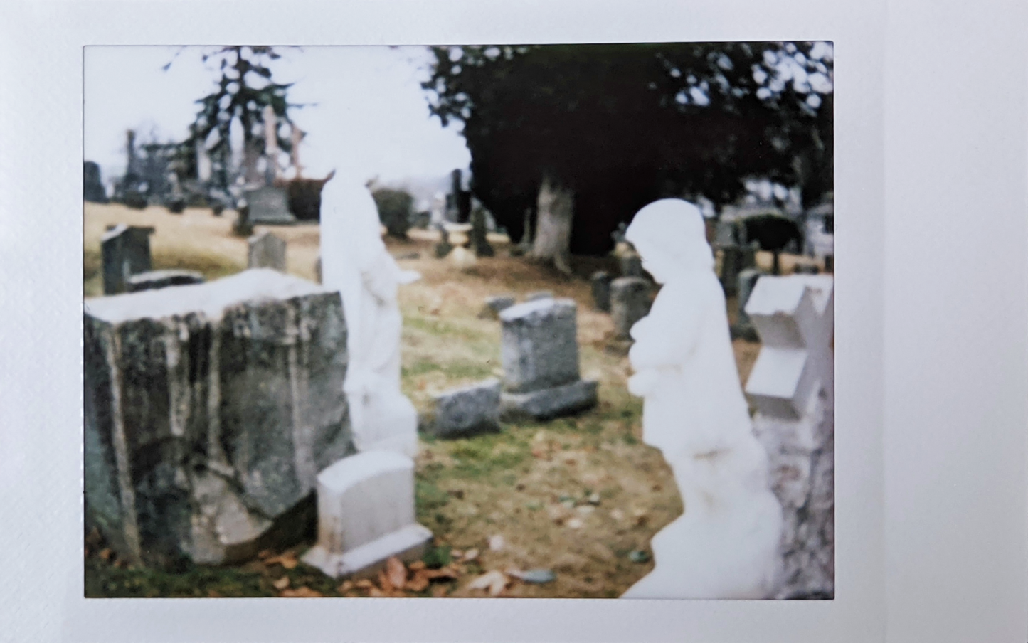 cemetery picture no. 15