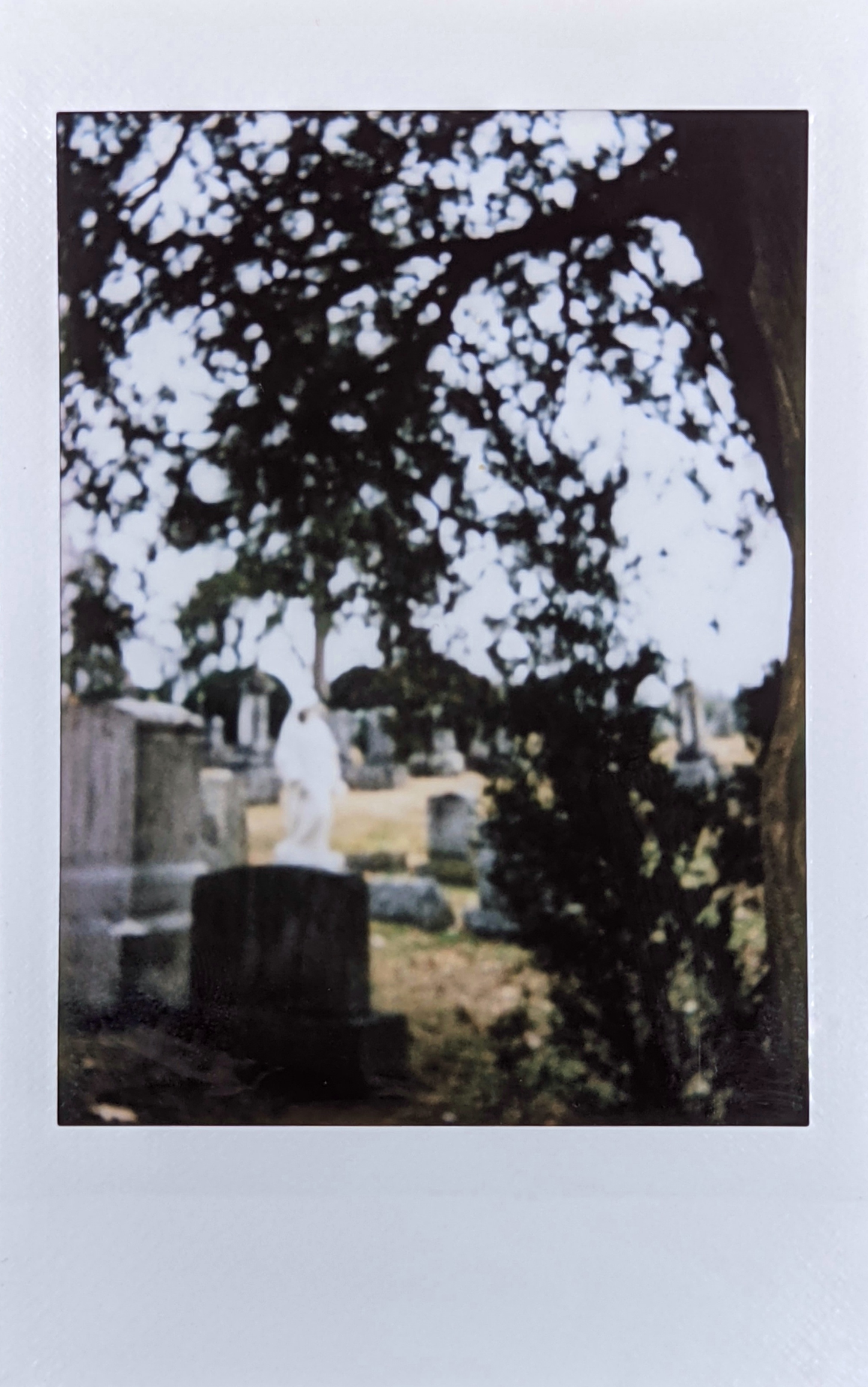 cemetery picture no. 07