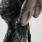 figure V