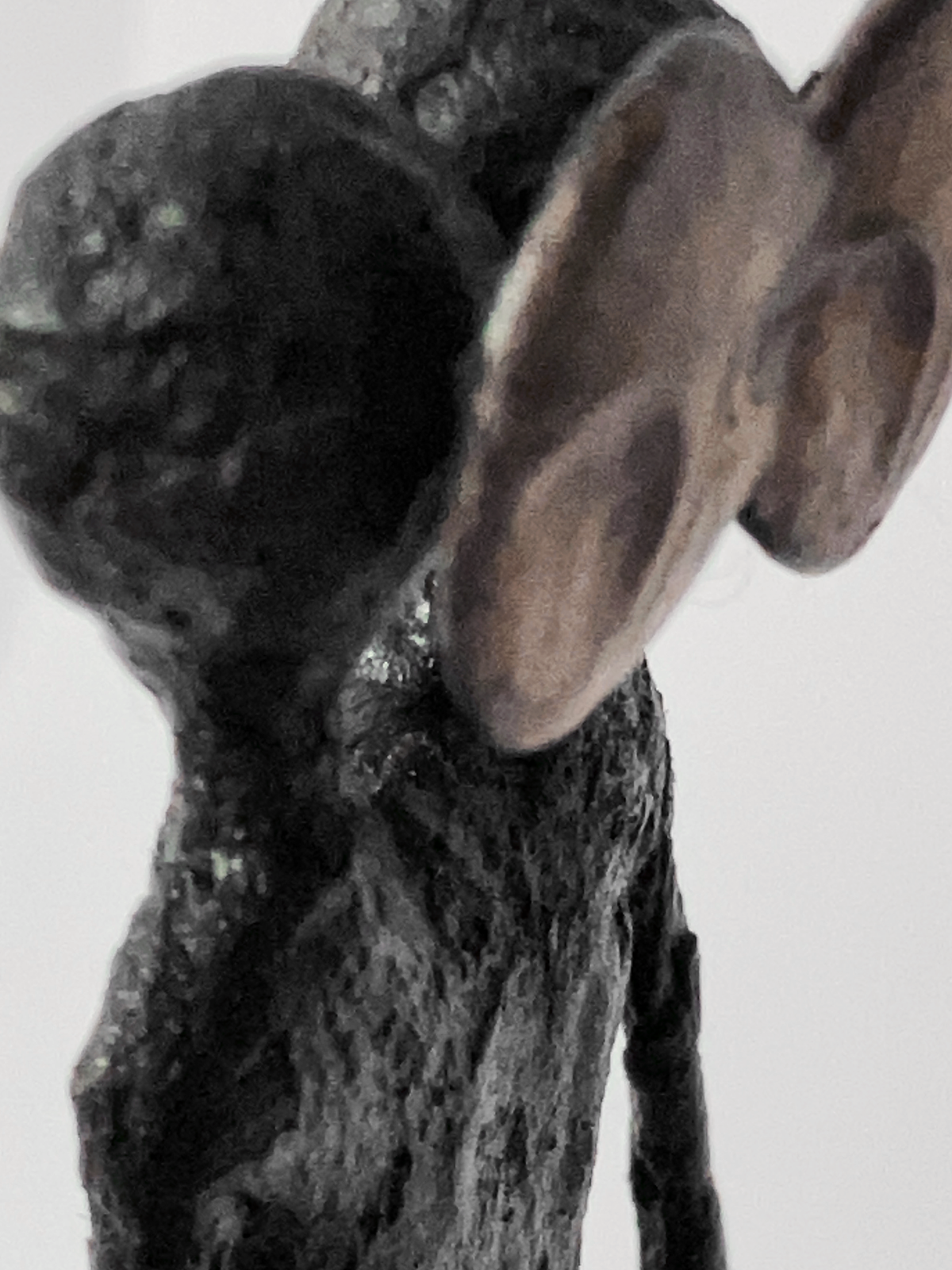 figure V