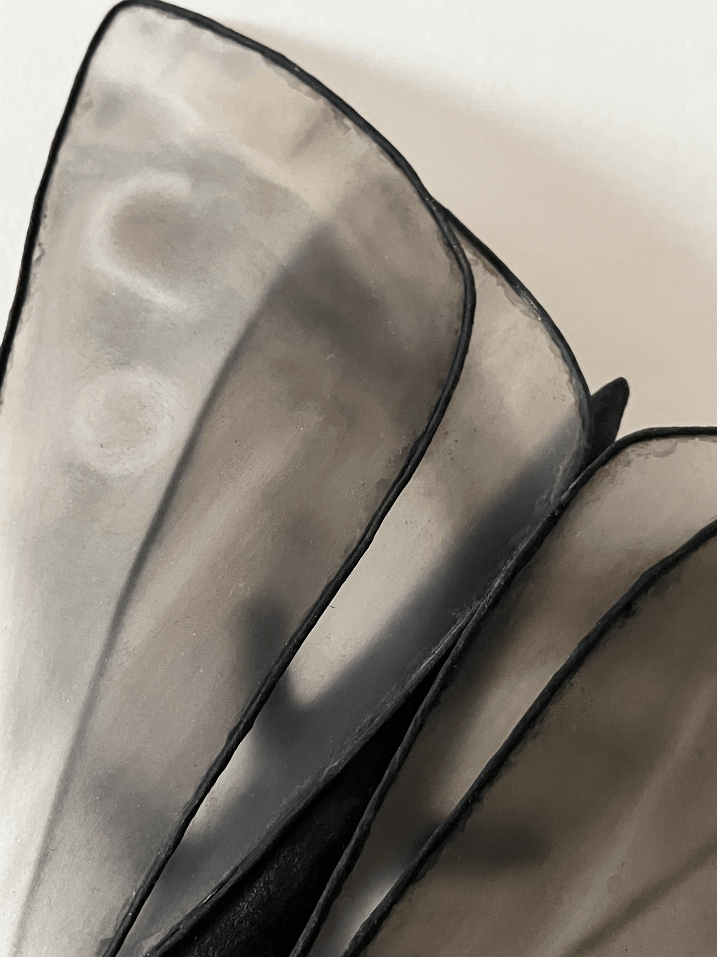 dissimulation