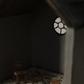 Sanctuary XXI