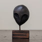 a head