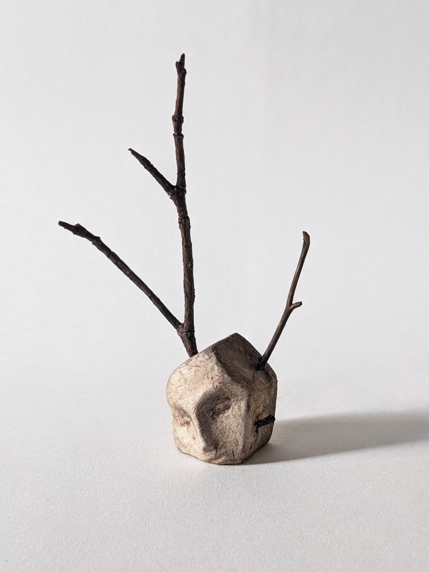 House with Branches I