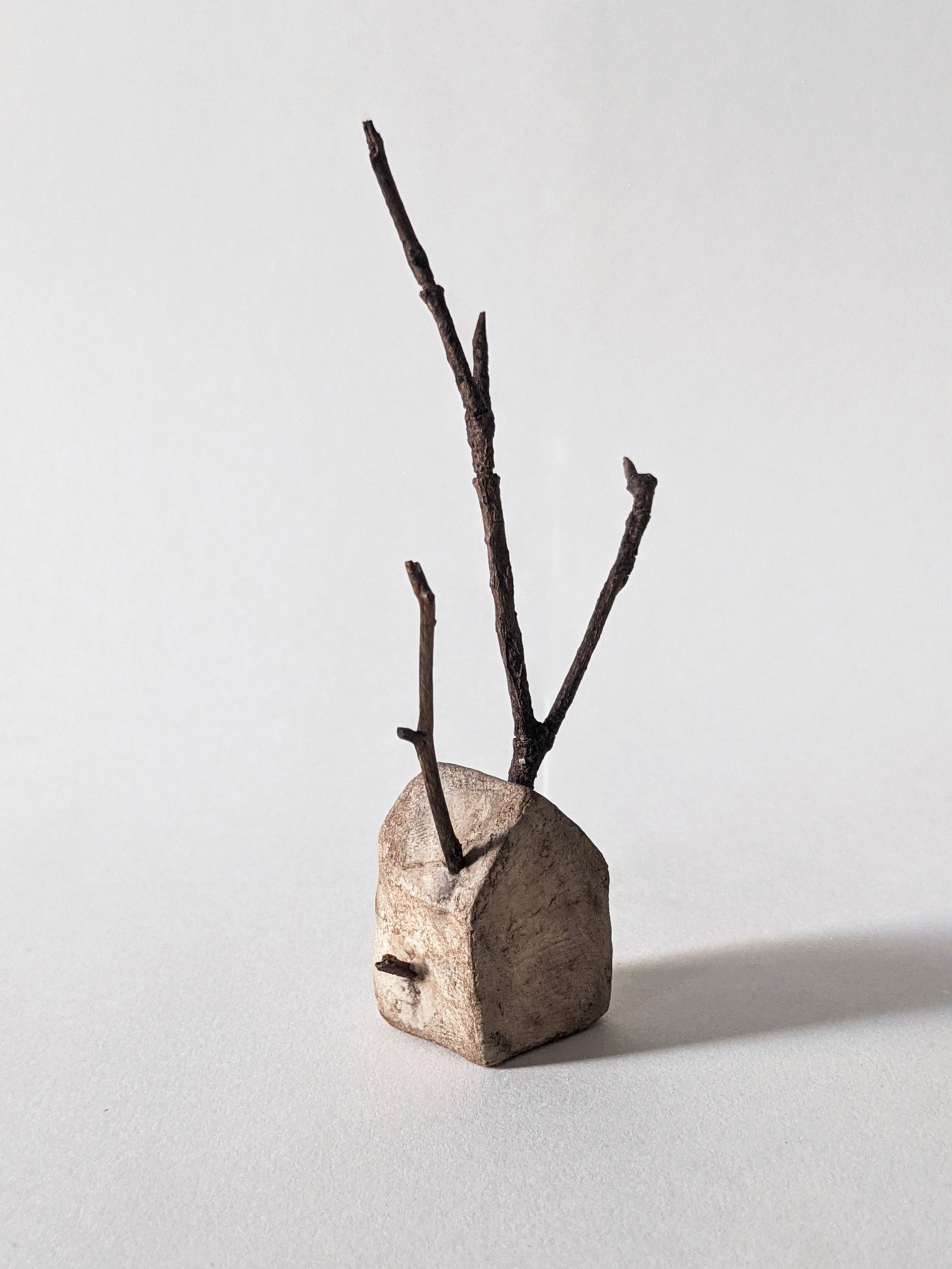 House with Branches I