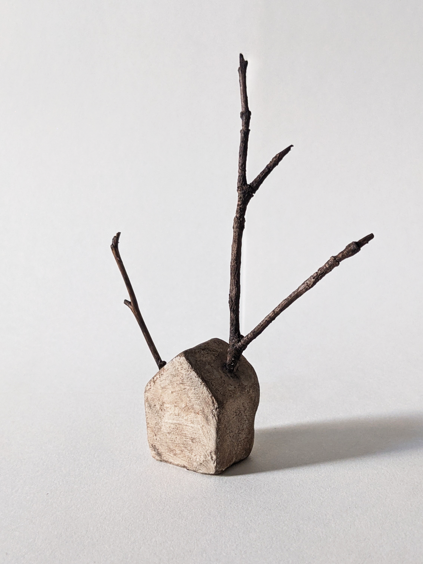 House with Branches I