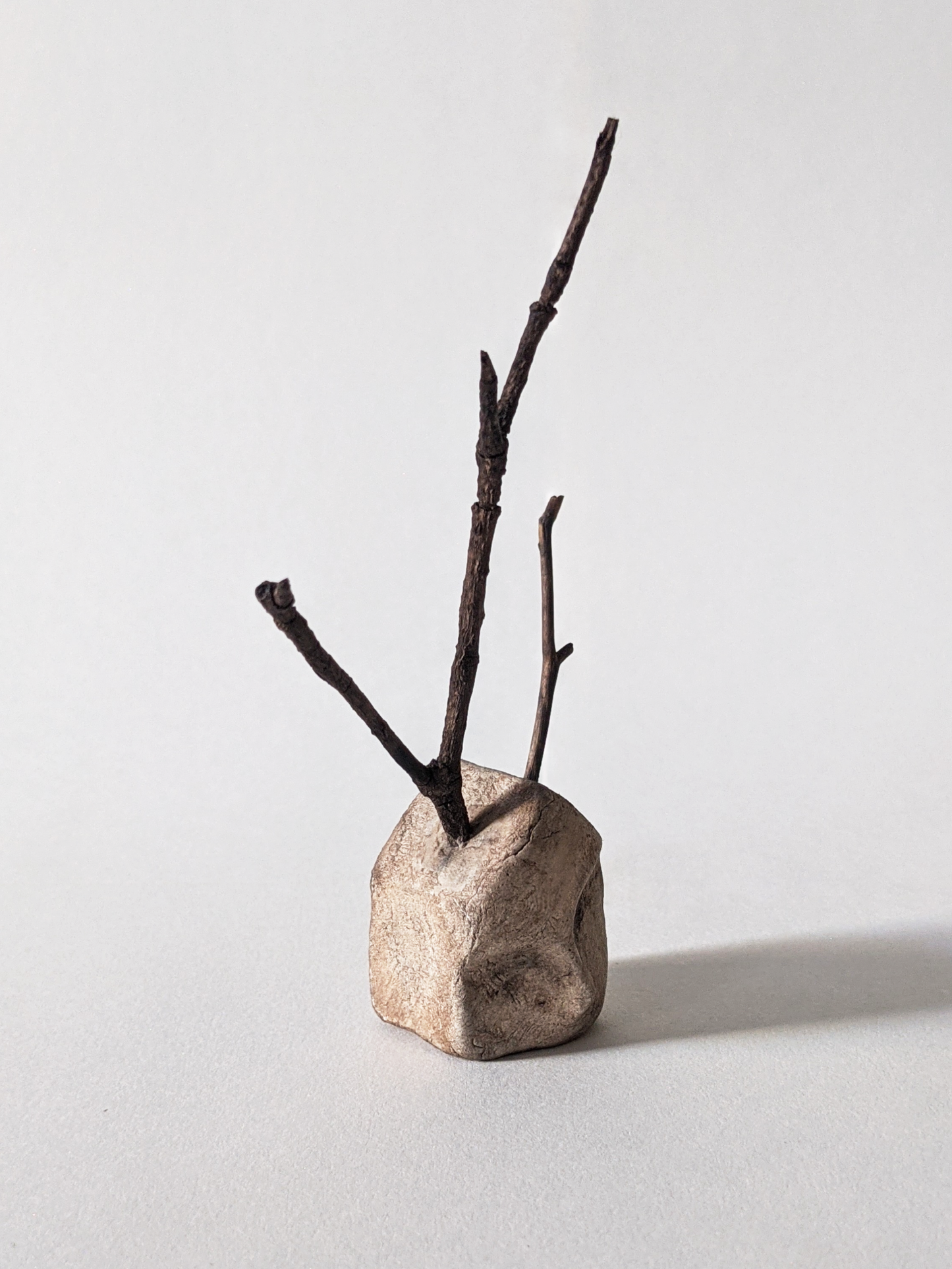 House with Branches I