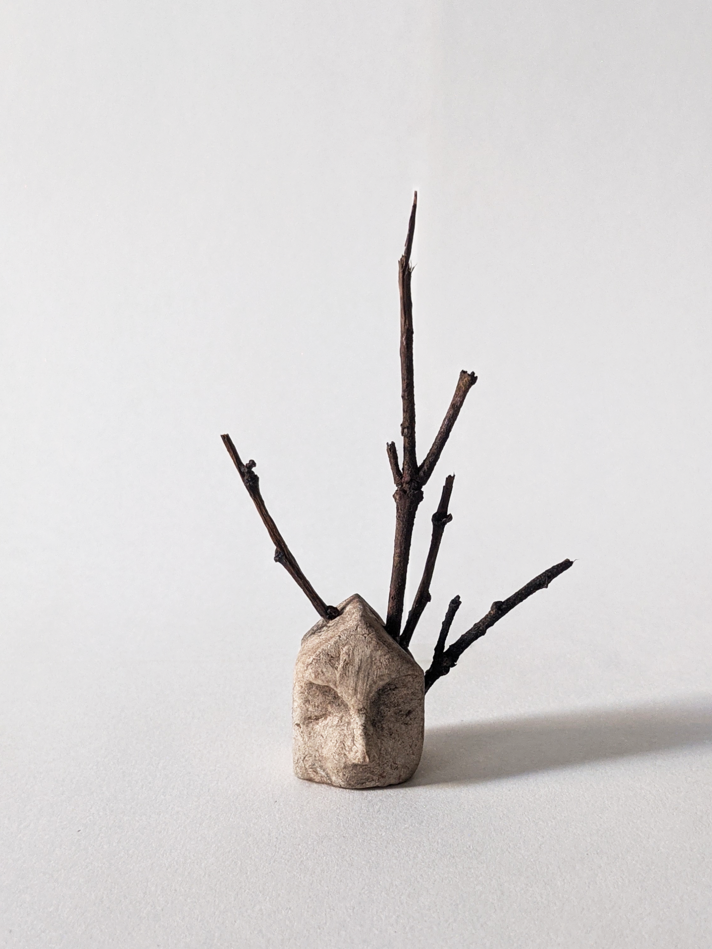 House with Branches II