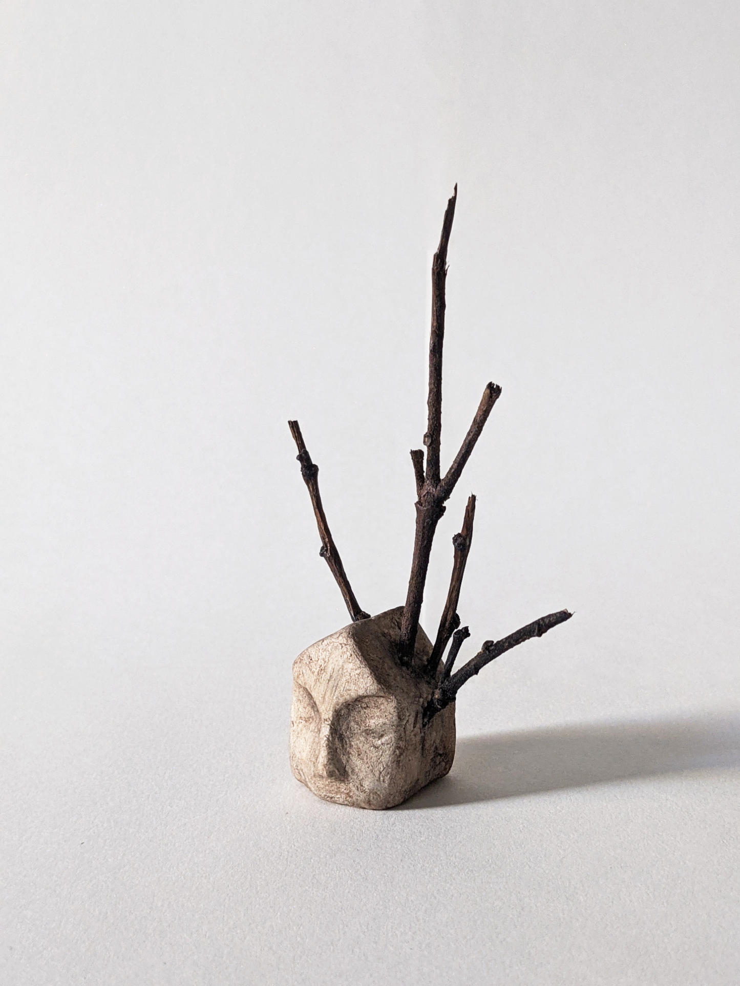 House with Branches II