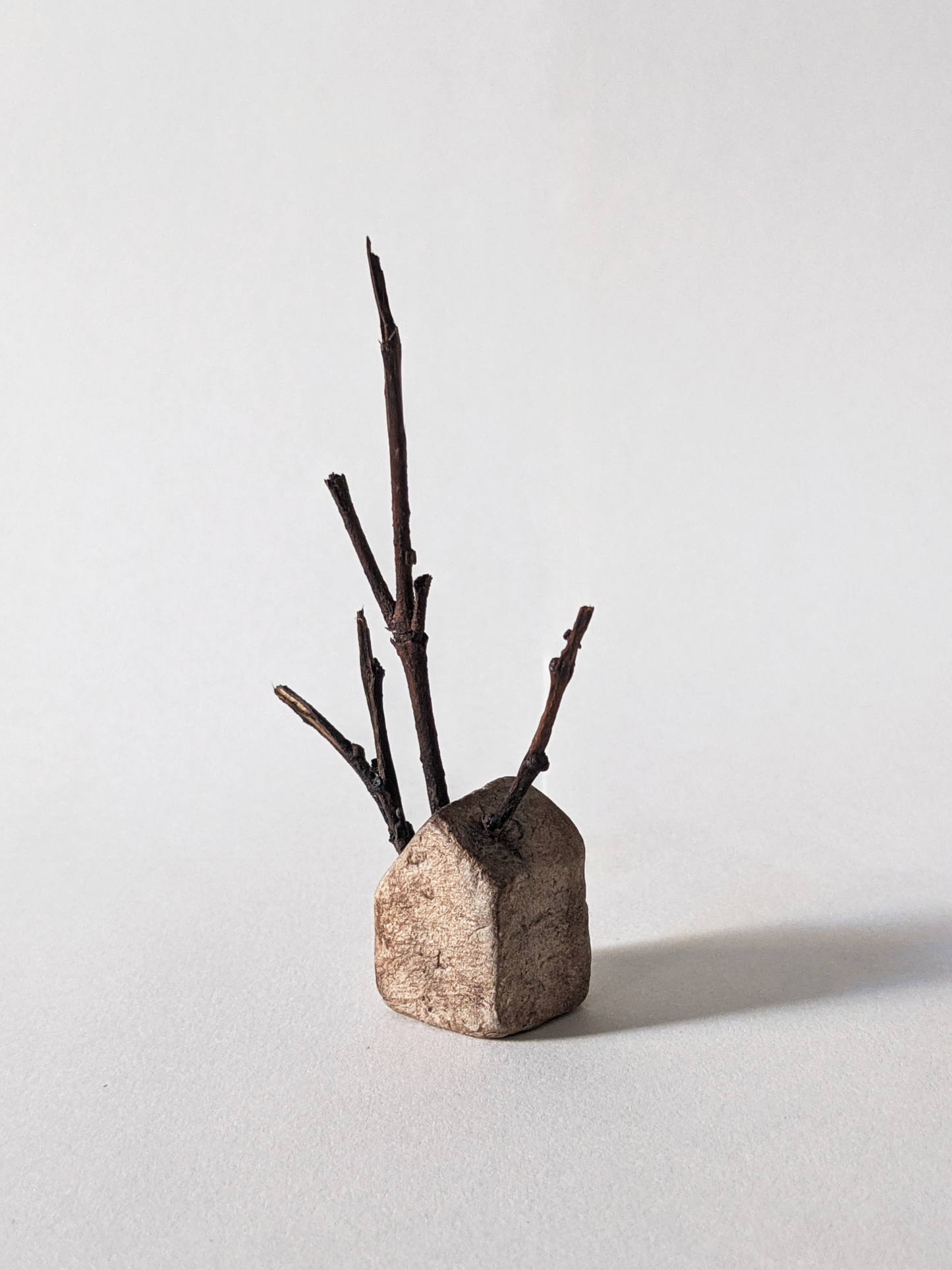 House with Branches II