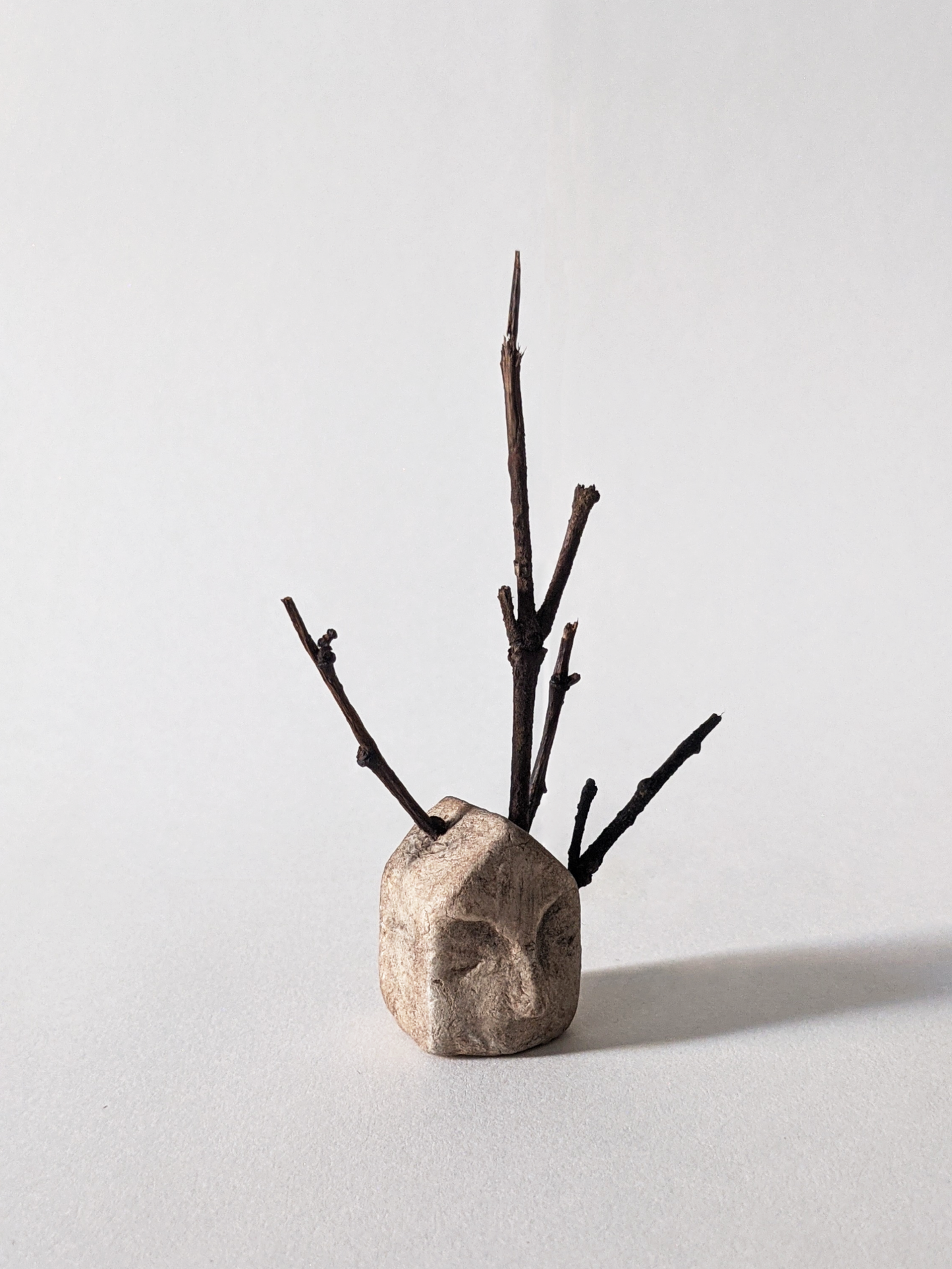 House with Branches II