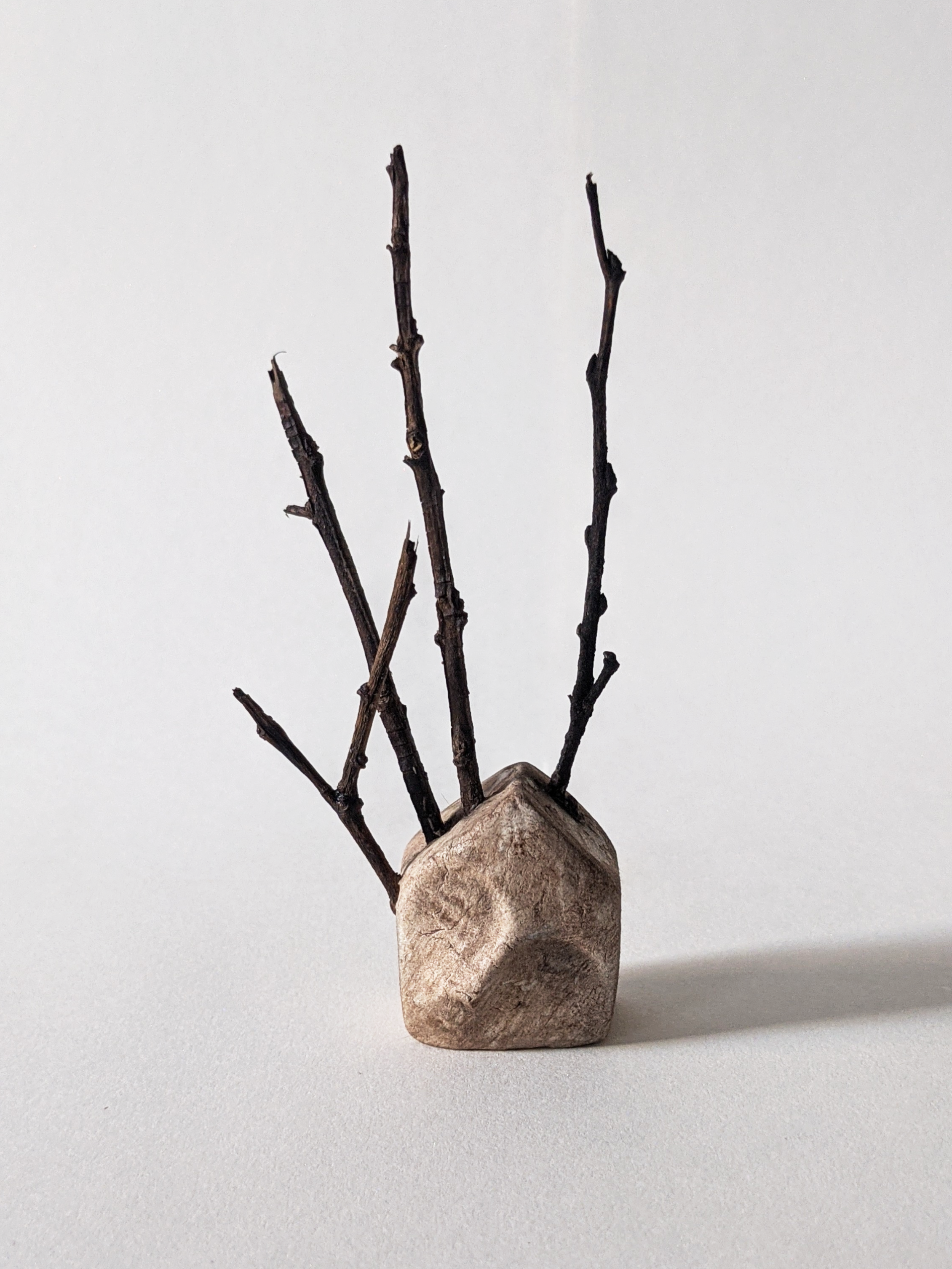 House with Branches III