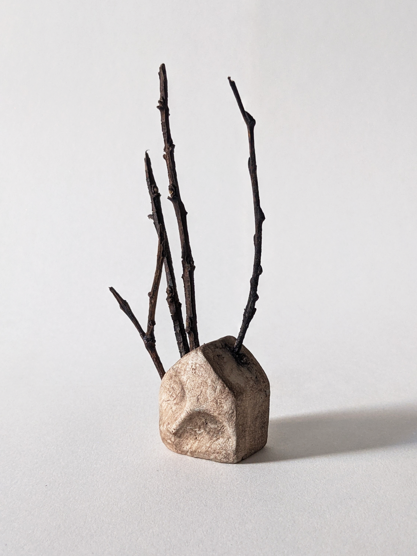 House with Branches III