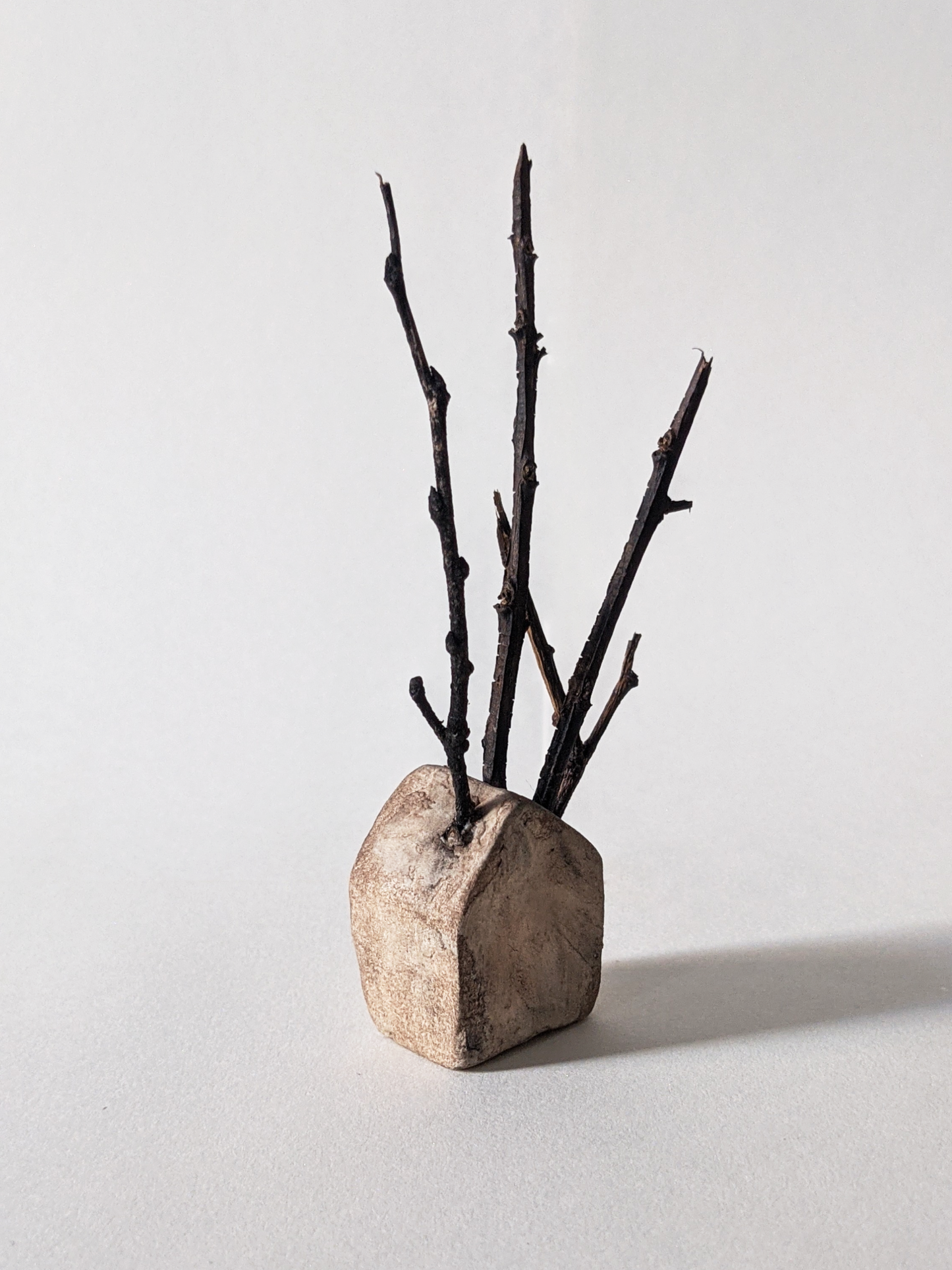 House with Branches III