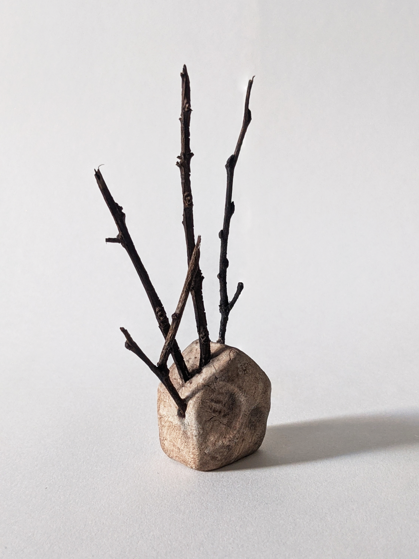 House with Branches III