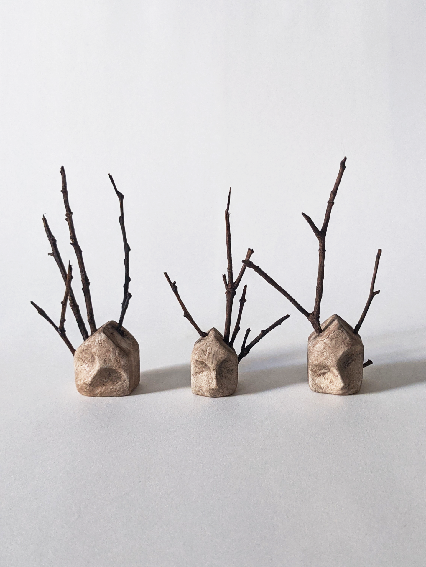 House with Branches III