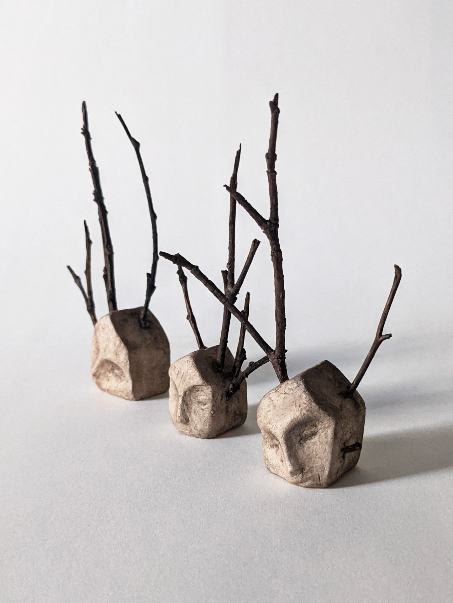 House with Branches III