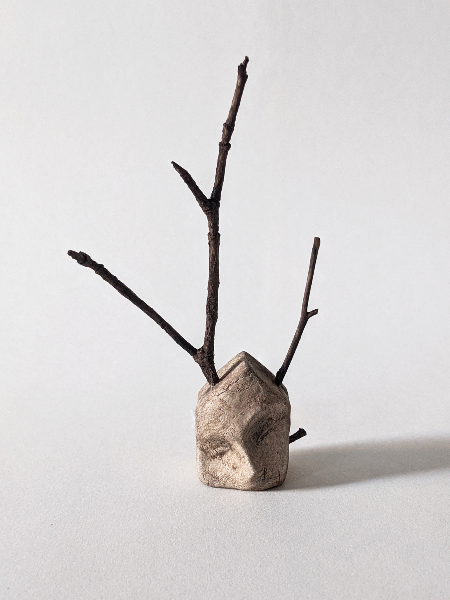 House with Branches I