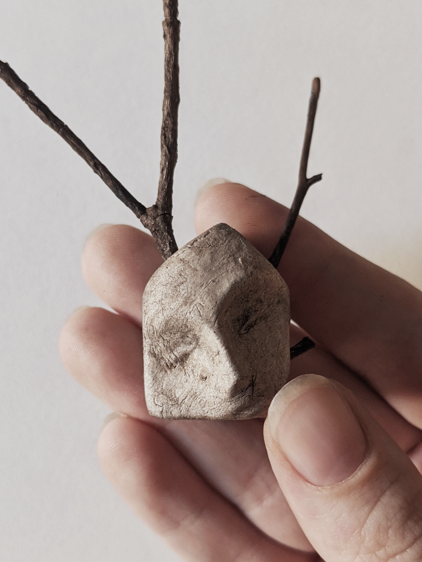 House with Branches I