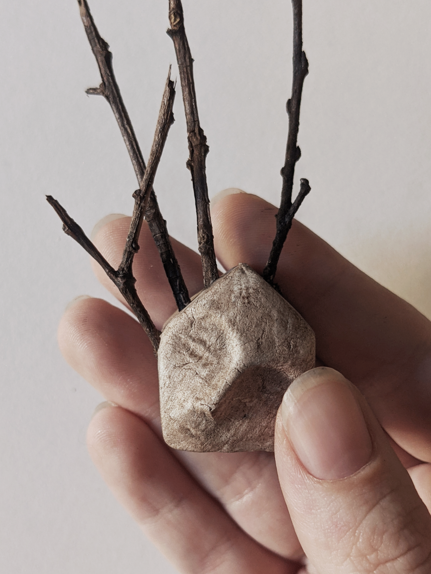 House with Branches III