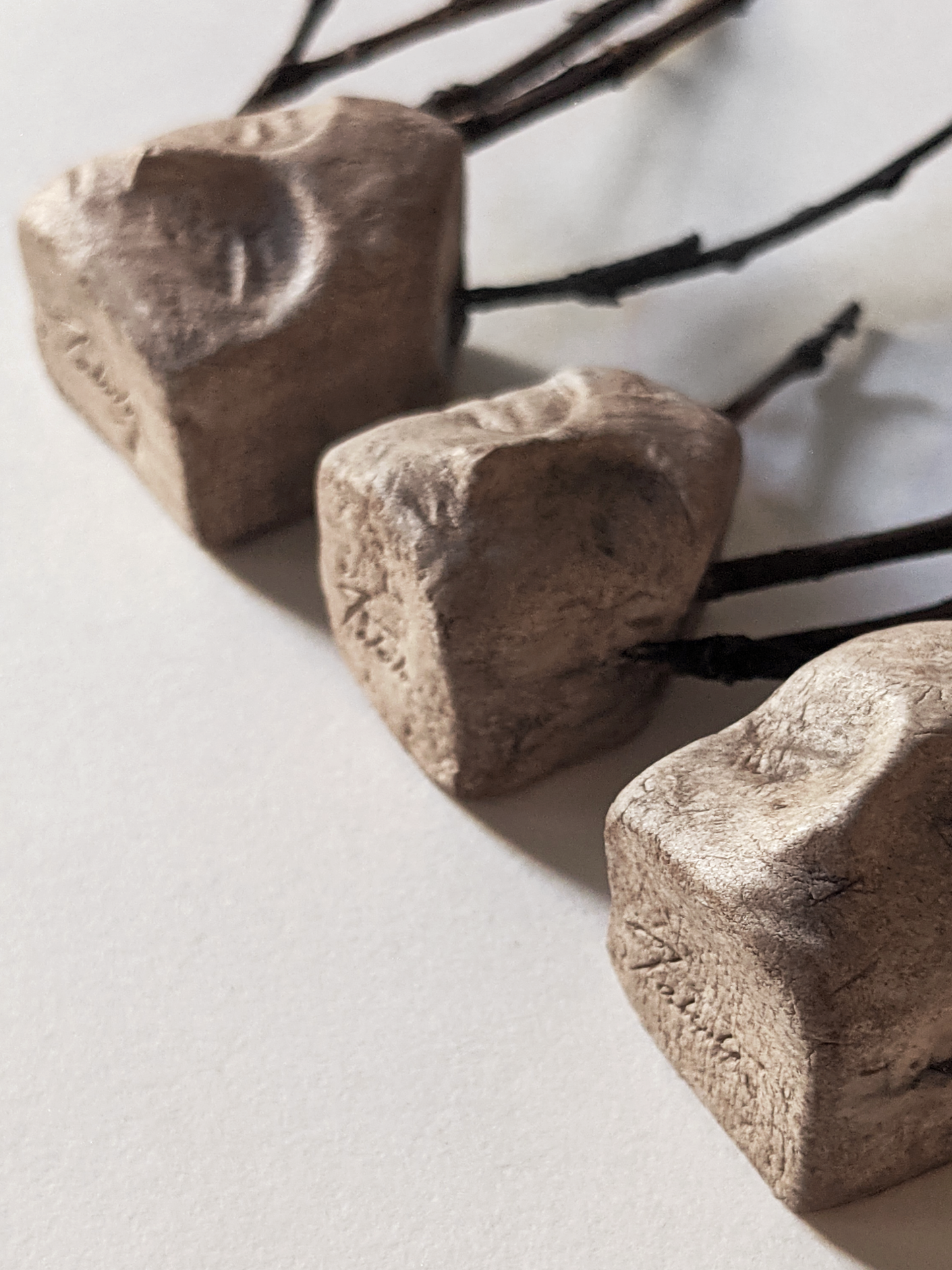 House with Branches III