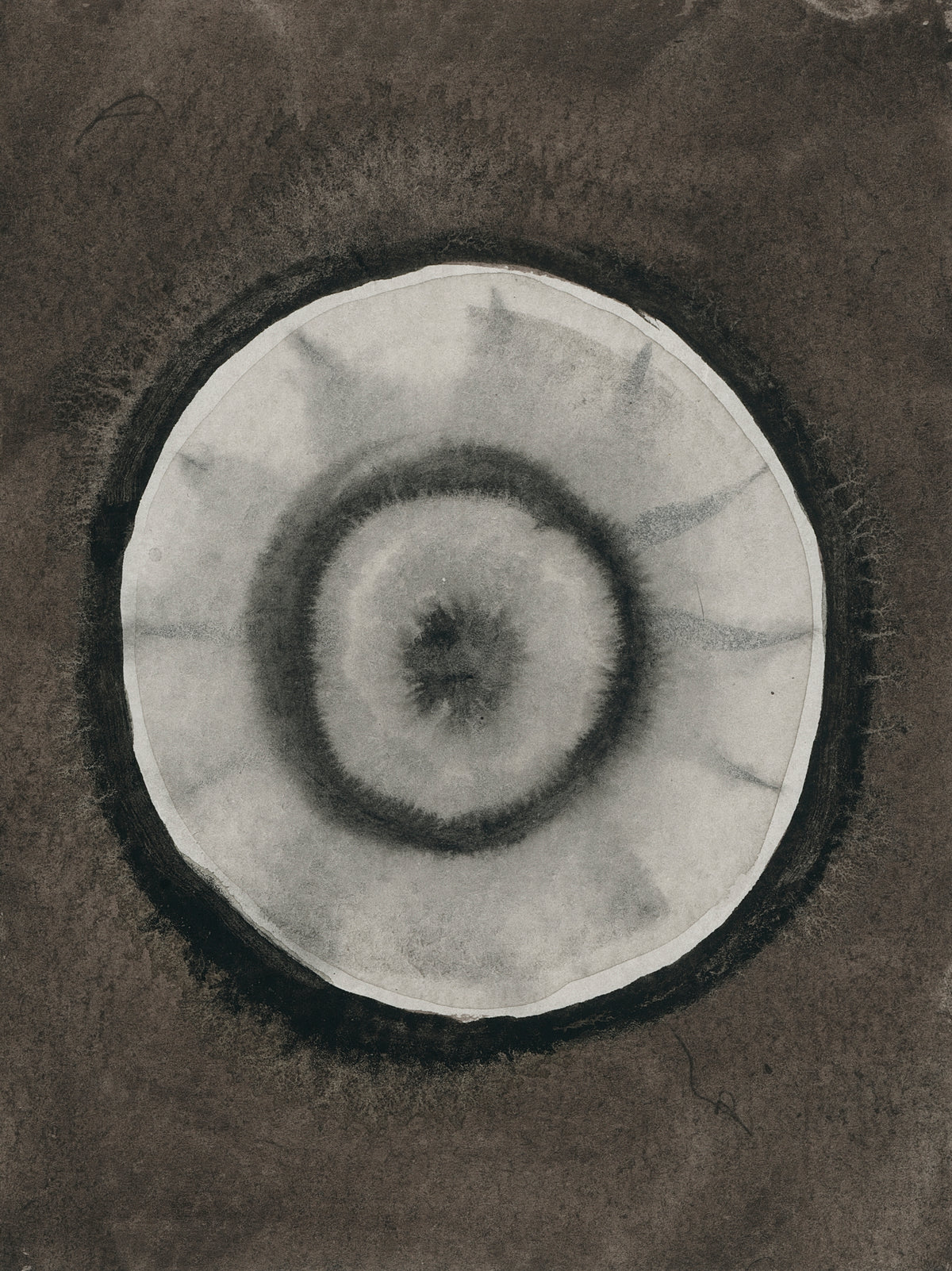 untitled circle painting no. 13