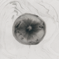circle painting no. 06