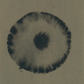 circle painting no. 11
