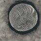 circle painting no. 12