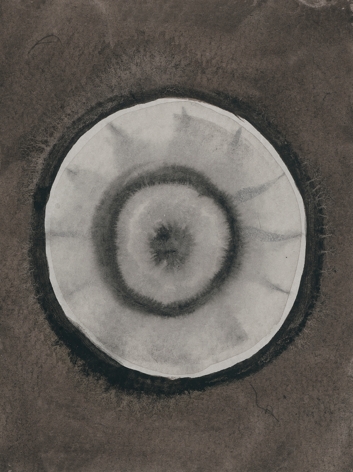 circle painting no. 13