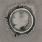 circle painting no. 14