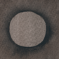 untitled circle painting no. 31