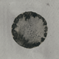 untitled circle painting no. 32