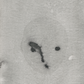 faces I [10/63]