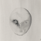 faces I [23/63]