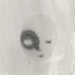 faces I [25/63]
