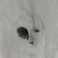 faces I [32/63]
