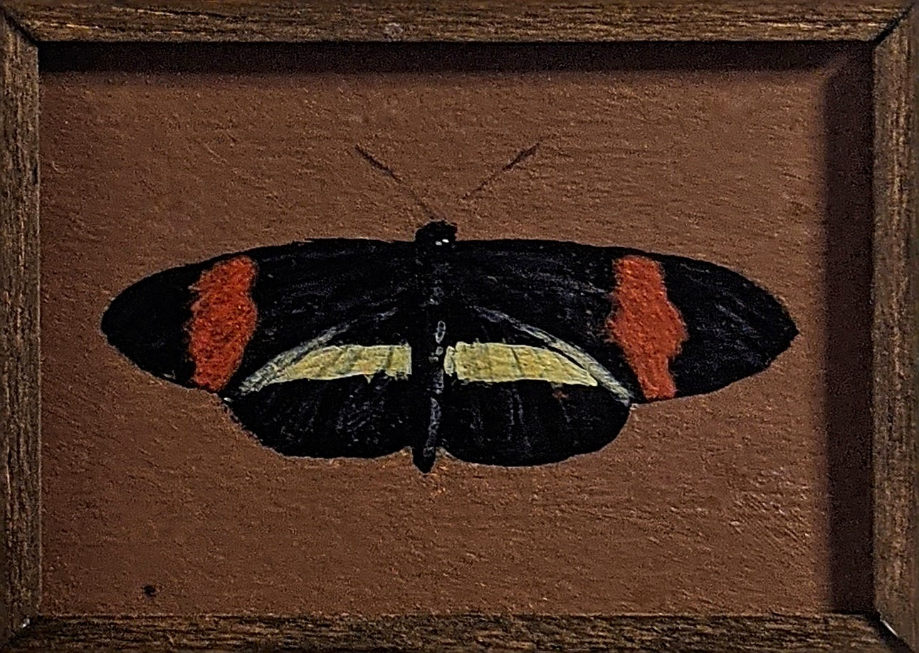 122 Heliconius erato