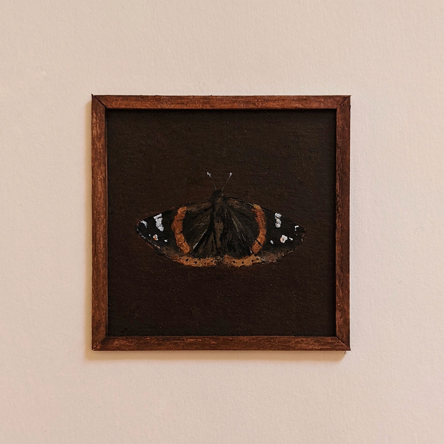 miniature insect paintings