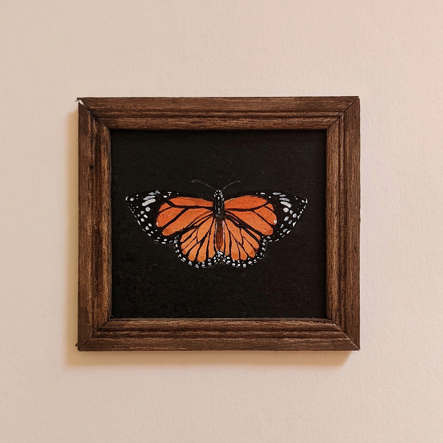miniature insect paintings